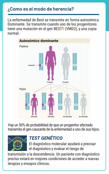 herencia enfermedad de BEST