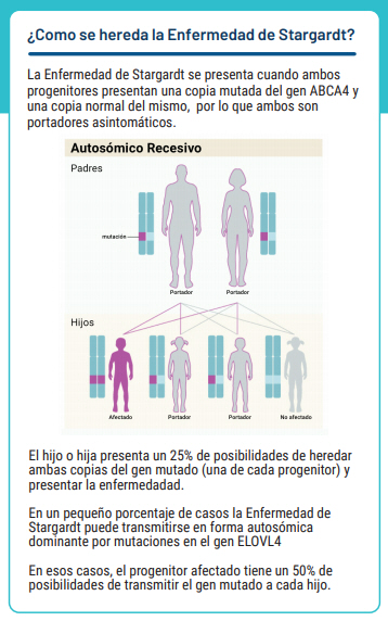 Como se hereda la enfermedad de STARGARDT